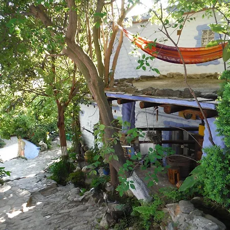 Villa Rural El Brazal *